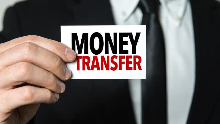 NRI Repatriation illustration